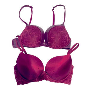 La SENZA 2 Beyond Sexy Purple/Mauve Push Up Padded Underwire Bras 32D